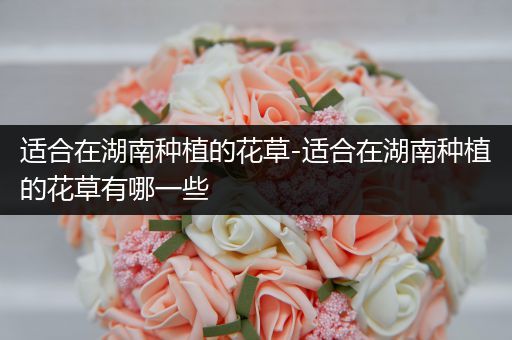 适合在湖南种植的花草-适合在湖南种植的花草有哪一些