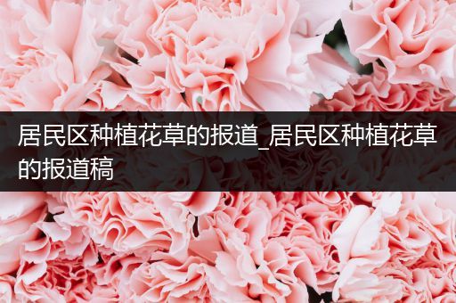 居民区种植花草的报道_居民区种植花草的报道稿