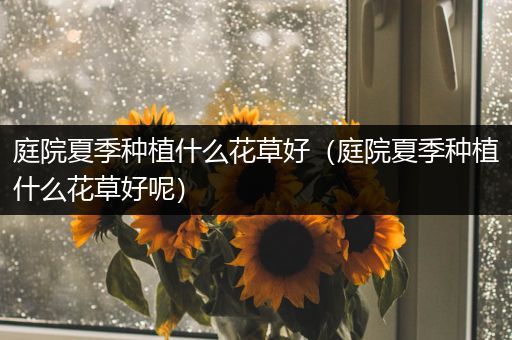 庭院夏季种植什么花草好（庭院夏季种植什么花草好呢）