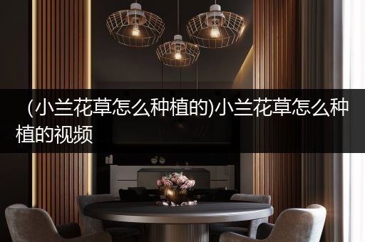（小兰花草怎么种植的)小兰花草怎么种植的视频