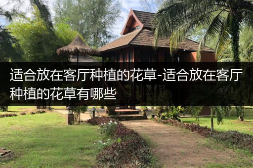 适合放在客厅种植的花草-适合放在客厅种植的花草有哪些