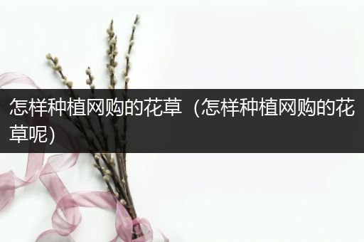 怎样种植网购的花草（怎样种植网购的花草呢）