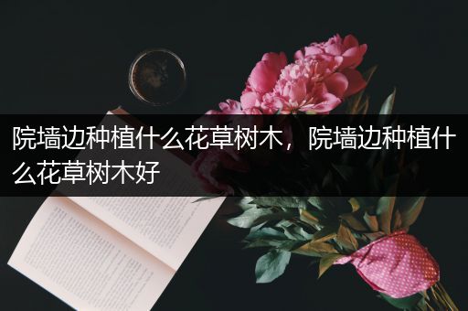 院墙边种植什么花草树木，院墙边种植什么花草树木好