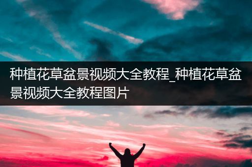 种植花草盆景视频大全教程_种植花草盆景视频大全教程图片
