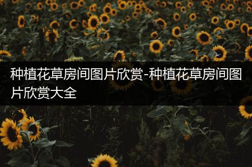 种植花草房间图片欣赏-种植花草房间图片欣赏大全