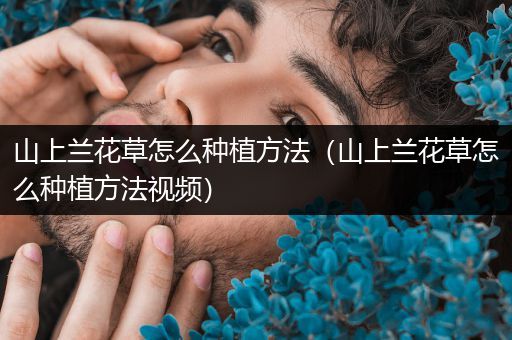 山上兰花草怎么种植方法（山上兰花草怎么种植方法视频）