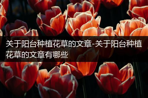 关于阳台种植花草的文章-关于阳台种植花草的文章有哪些