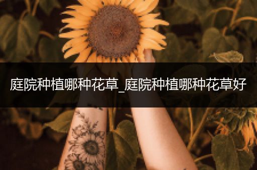 庭院种植哪种花草_庭院种植哪种花草好
