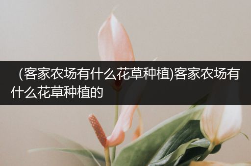 （客家农场有什么花草种植)客家农场有什么花草种植的