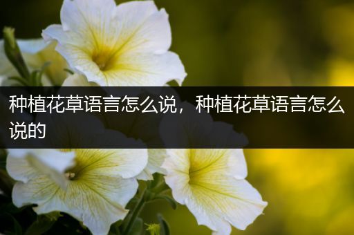 种植花草语言怎么说，种植花草语言怎么说的
