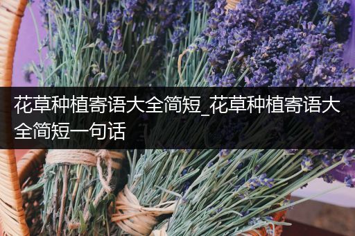 花草种植寄语大全简短_花草种植寄语大全简短一句话