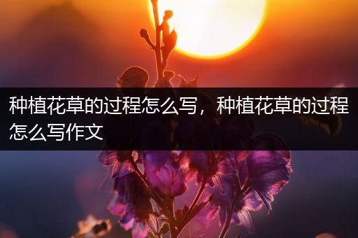 种植花草的过程怎么写，种植花草的过程怎么写作文
