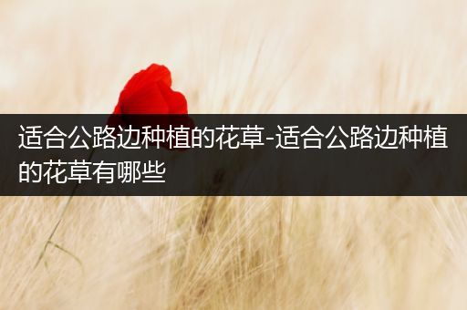 适合公路边种植的花草-适合公路边种植的花草有哪些