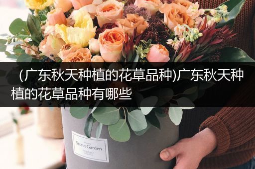 （广东秋天种植的花草品种)广东秋天种植的花草品种有哪些