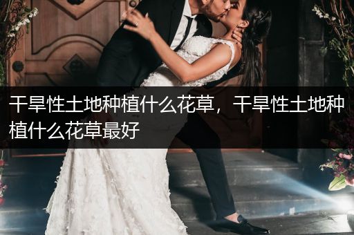 干旱性土地种植什么花草，干旱性土地种植什么花草最好