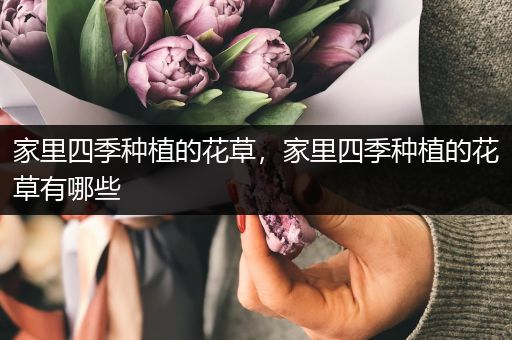 家里四季种植的花草，家里四季种植的花草有哪些