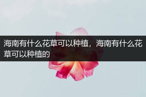 海南有什么花草可以种植，海南有什么花草可以种植的