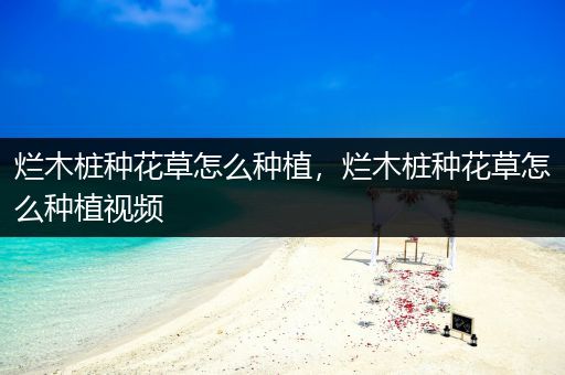 烂木桩种花草怎么种植，烂木桩种花草怎么种植视频