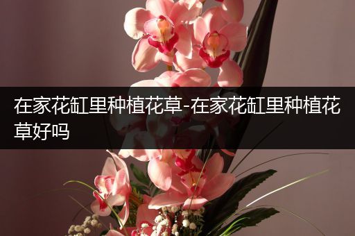 在家花缸里种植花草-在家花缸里种植花草好吗