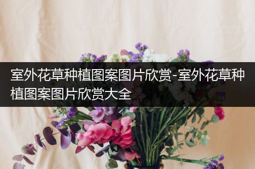 室外花草种植图案图片欣赏-室外花草种植图案图片欣赏大全