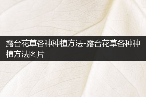 露台花草各种种植方法-露台花草各种种植方法图片