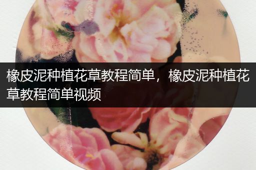 橡皮泥种植花草教程简单，橡皮泥种植花草教程简单视频