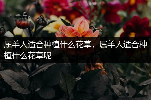 属羊人适合种植什么花草，属羊人适合种植什么花草呢