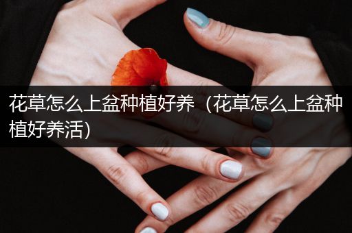 花草怎么上盆种植好养（花草怎么上盆种植好养活）