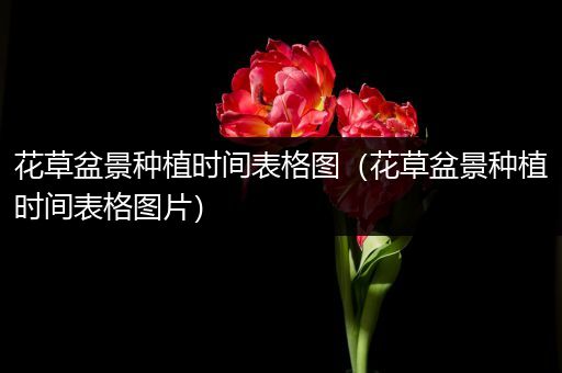 花草盆景种植时间表格图（花草盆景种植时间表格图片）