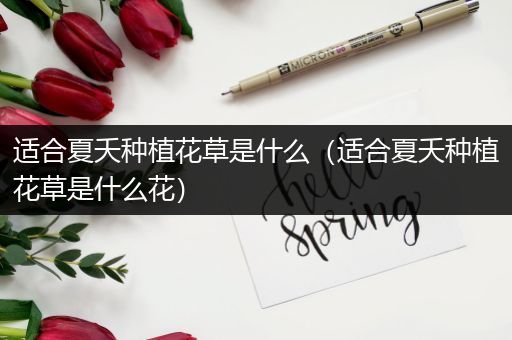 适合夏夭种植花草是什么（适合夏夭种植花草是什么花）