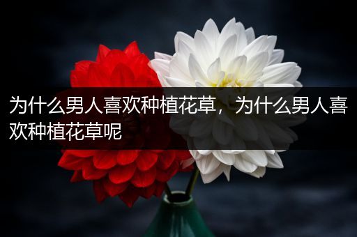 为什么男人喜欢种植花草，为什么男人喜欢种植花草呢
