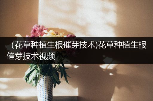 （花草种植生根催芽技术)花草种植生根催芽技术视频