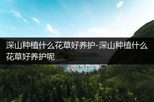 深山种植什么花草好养护-深山种植什么花草好养护呢