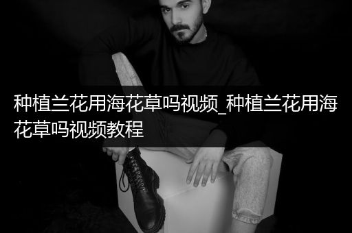 种植兰花用海花草吗视频_种植兰花用海花草吗视频教程