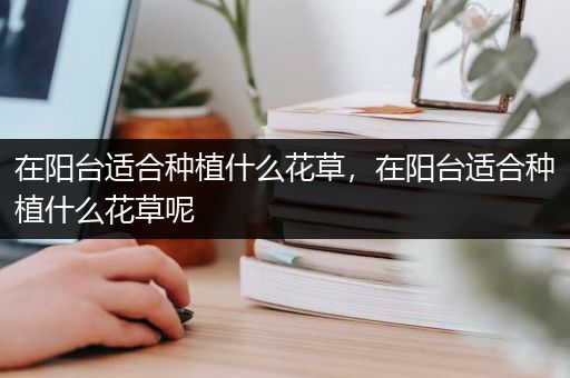 在阳台适合种植什么花草，在阳台适合种植什么花草呢