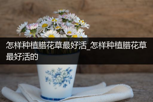 怎样种植腊花草最好活_怎样种植腊花草最好活的
