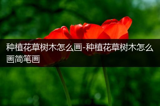 种植花草树木怎么画-种植花草树木怎么画简笔画