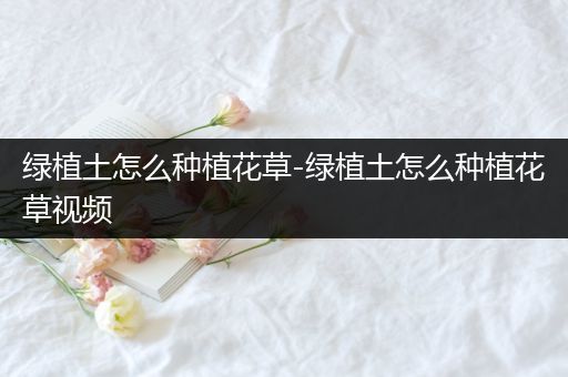 绿植土怎么种植花草-绿植土怎么种植花草视频