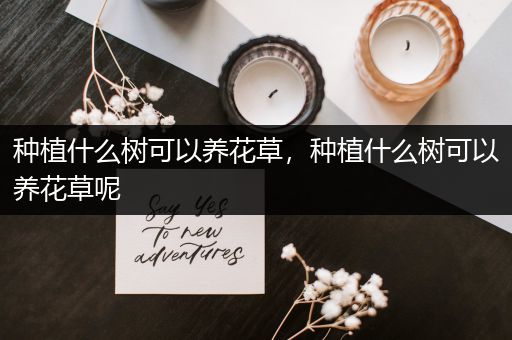 种植什么树可以养花草，种植什么树可以养花草呢
