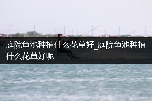 庭院鱼池种植什么花草好_庭院鱼池种植什么花草好呢