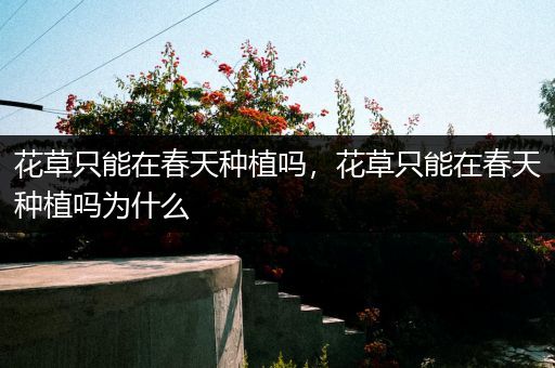 花草只能在春天种植吗，花草只能在春天种植吗为什么