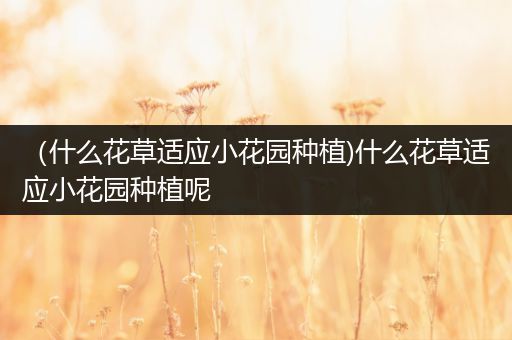 （什么花草适应小花园种植)什么花草适应小花园种植呢