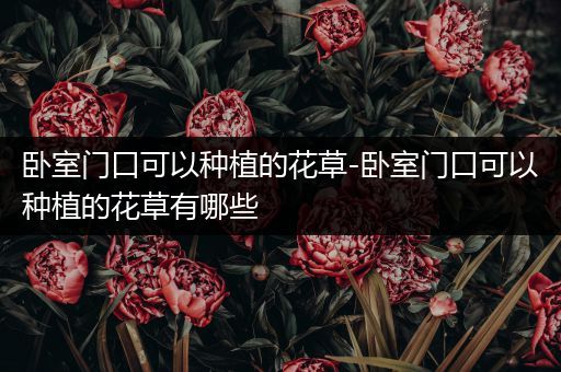 卧室门口可以种植的花草-卧室门口可以种植的花草有哪些