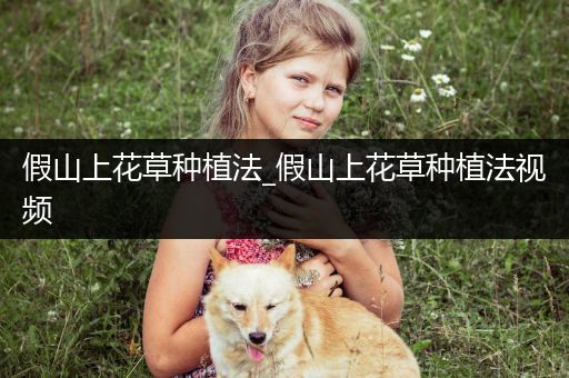 假山上花草种植法_假山上花草种植法视频