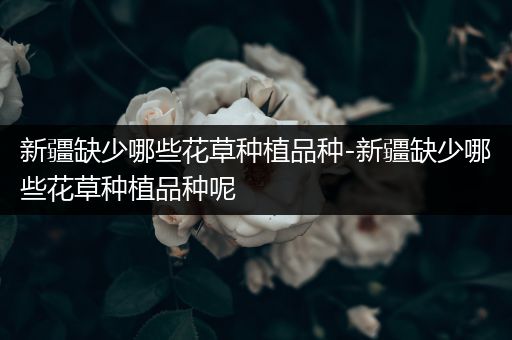 新疆缺少哪些花草种植品种-新疆缺少哪些花草种植品种呢