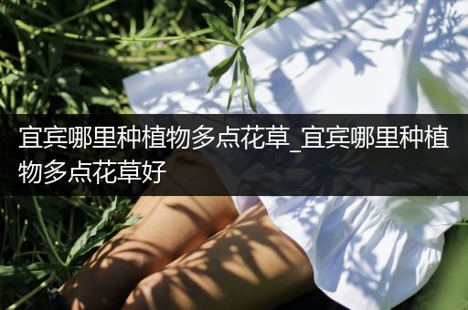 宜宾哪里种植物多点花草_宜宾哪里种植物多点花草好