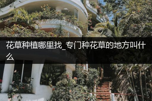 花草种植哪里找_专门种花草的地方叫什么