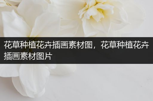花草种植花卉插画素材图，花草种植花卉插画素材图片