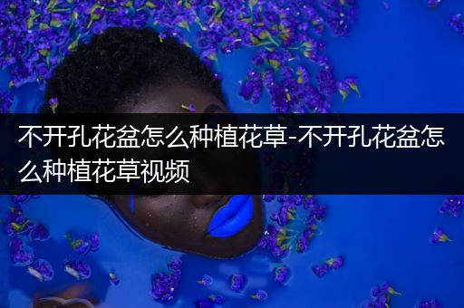 不开孔花盆怎么种植花草-不开孔花盆怎么种植花草视频