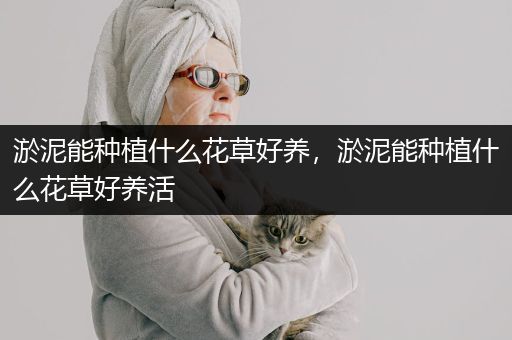 淤泥能种植什么花草好养，淤泥能种植什么花草好养活